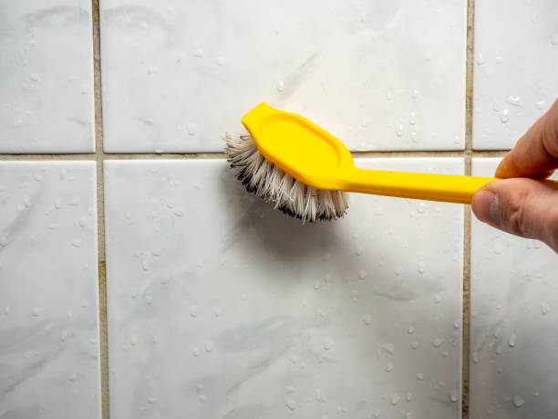 Best Post-Flood Mold Remediation in Herrin, IL