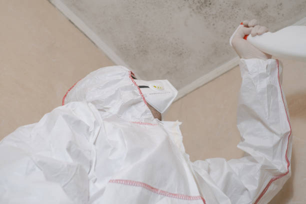 Best Mold Testing and Inspection Services in Herrin, IL